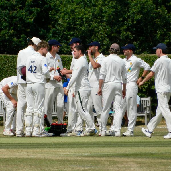 The Shropshire players after taking a wicket in their last Championship match against Cheshire at Nantwich earlier this month.